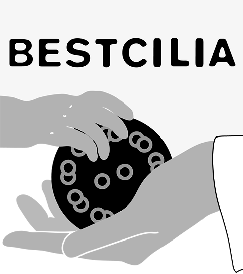 Bestcilia